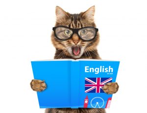 Academia de Inglés en Badajoz